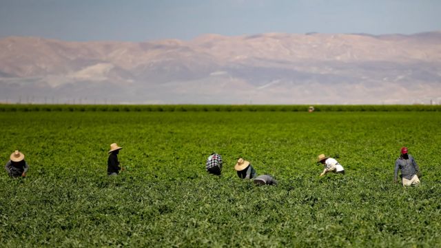 Concerns Mount Among State Workers As California Faces Potential 68