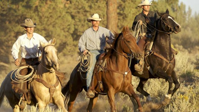 Discover 5 States That Are Known for Cowboys in the US