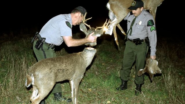 Texas Man Arrested for Spotlighting Deer With Crossbow and Shotgun in Truck, Police Report (1)